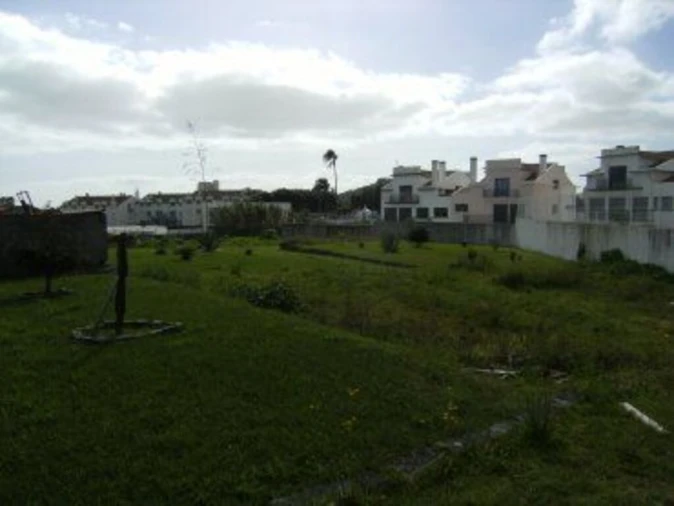 Terreno para Venda em Rosto do Cão (Livramento) Foto 6