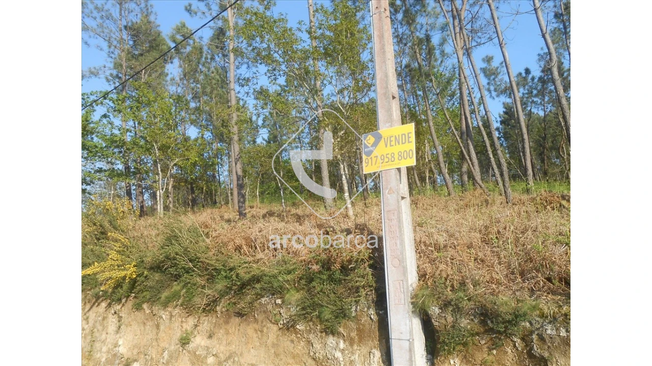 Terreno para Venda em Rubiães Foto 2
