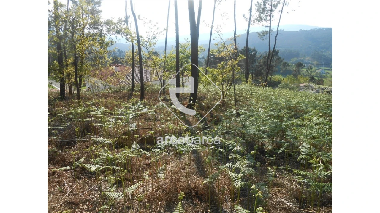 Terreno para Venda em Rubiães Foto 8