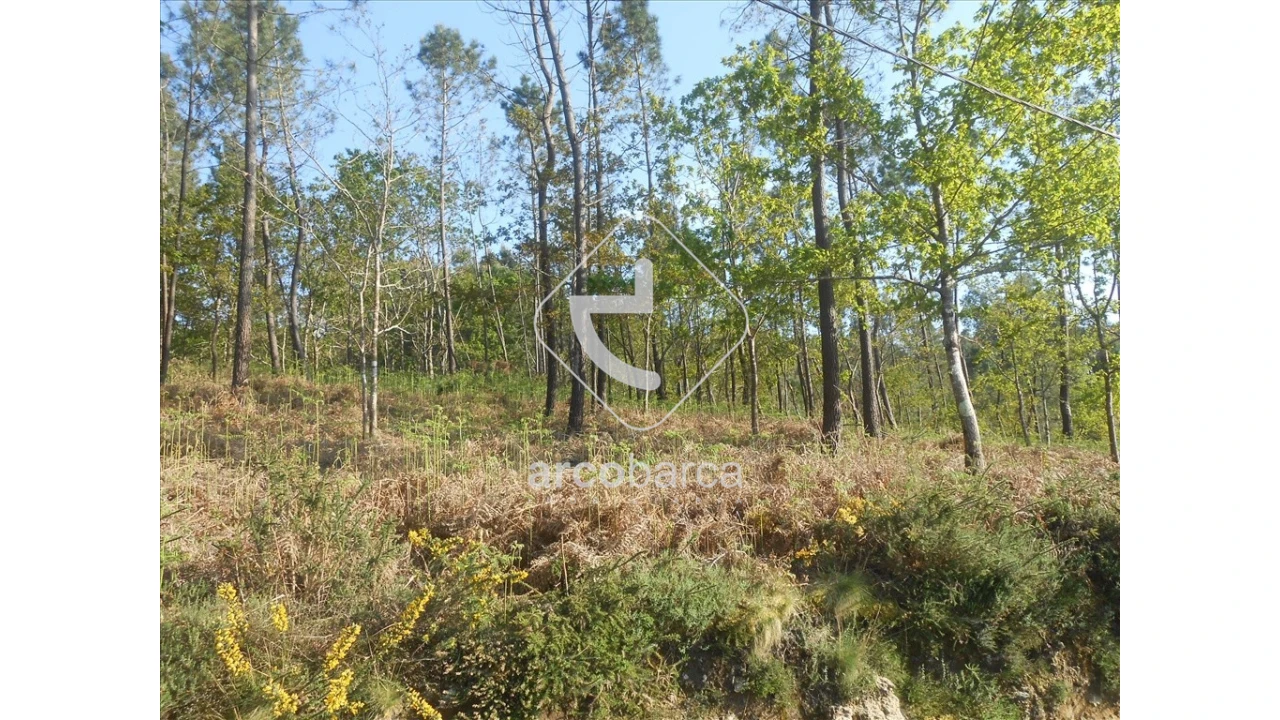Terreno para Venda em Rubiães Foto 1