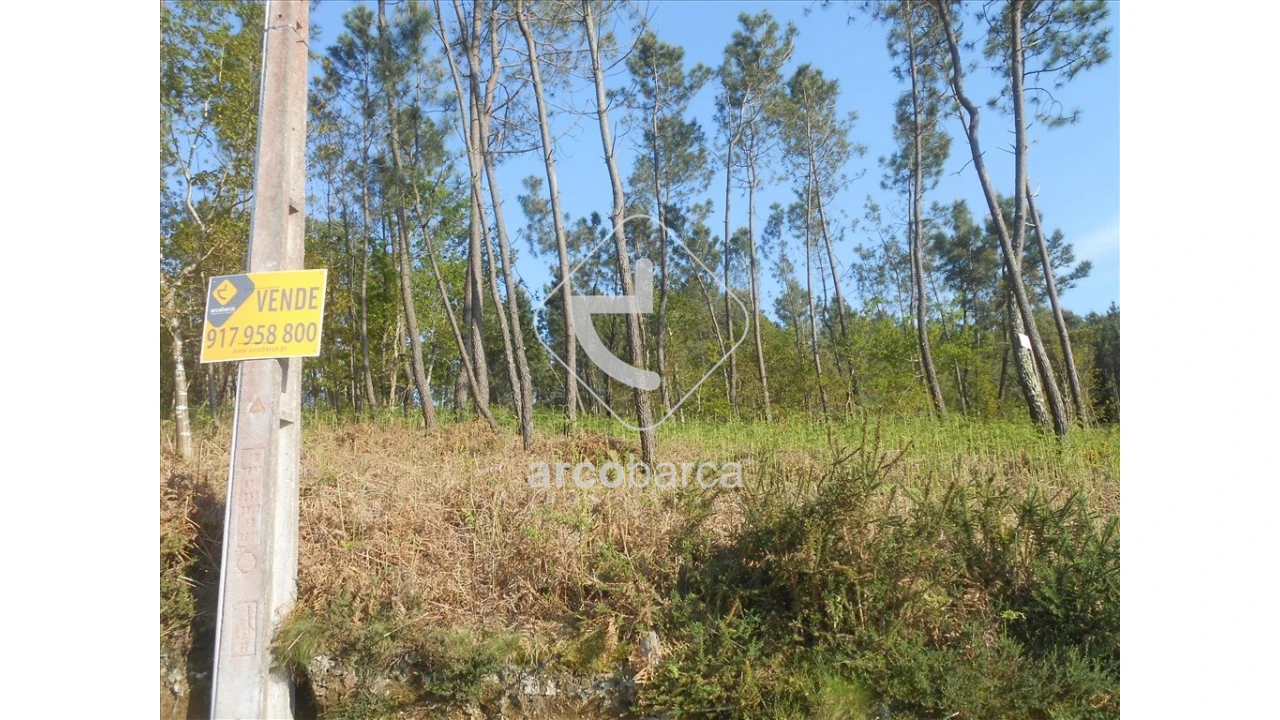 Terreno para Venda em Rubiães Foto 11
