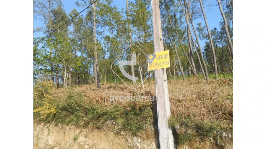 Terreno para Venda em Rubiães Foto 2