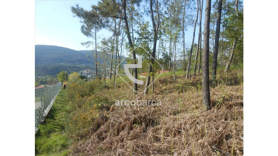 Terreno para Venda em Rubiães Foto 6