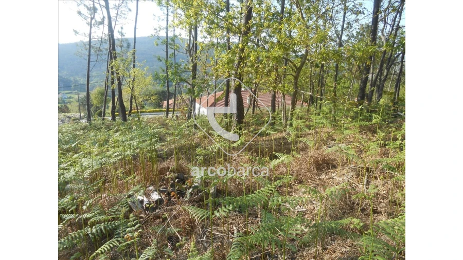 Terreno para Venda em Rubiães Foto 9