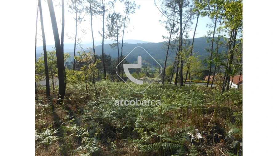 Terreno para Venda em Rubiães Foto 7