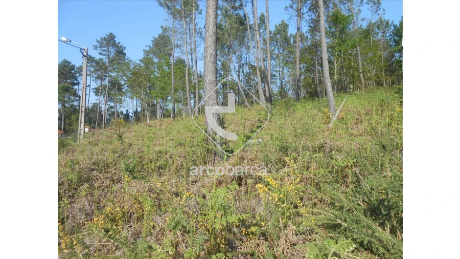 Terreno para Venda em Rubiães Foto 4