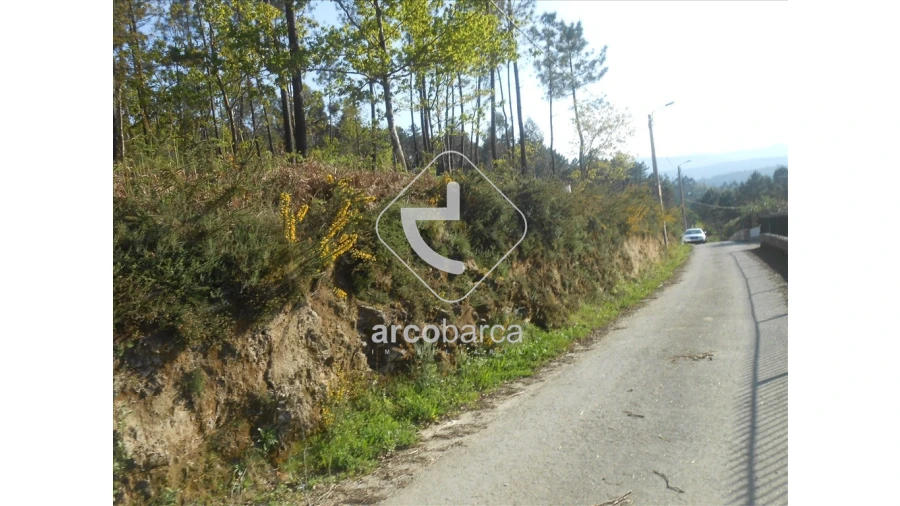 Terreno para Venda em Rubiães Foto 5