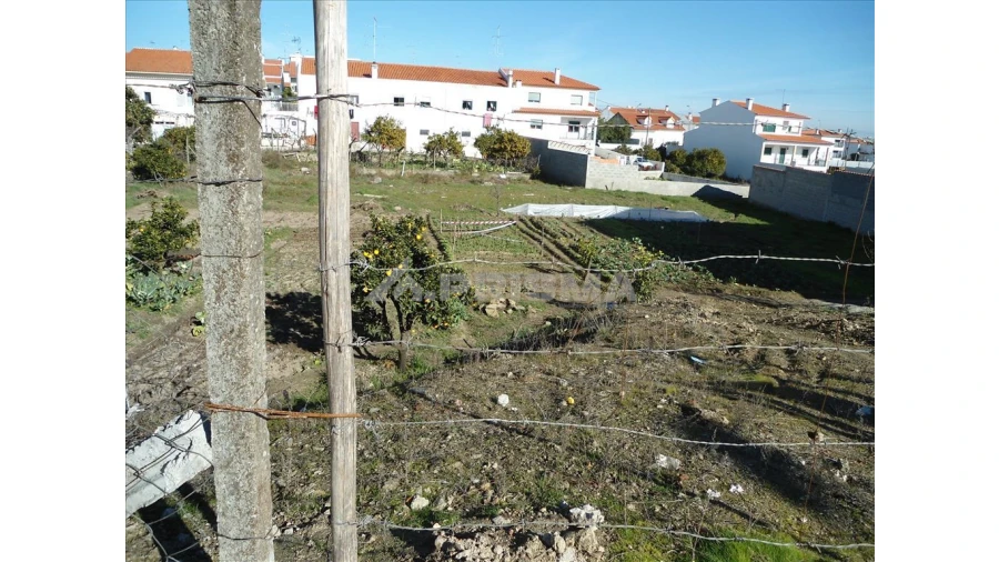 Terreno para Venda em Castelo Branco Foto 2