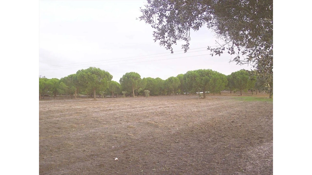 Terreno para Venda em Pegões Foto 5