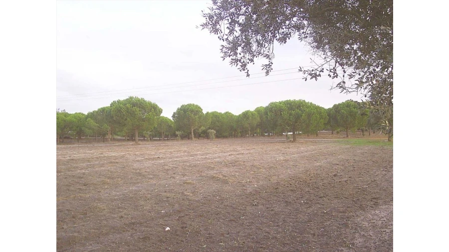 Terreno para Venda em Pegões Foto 5