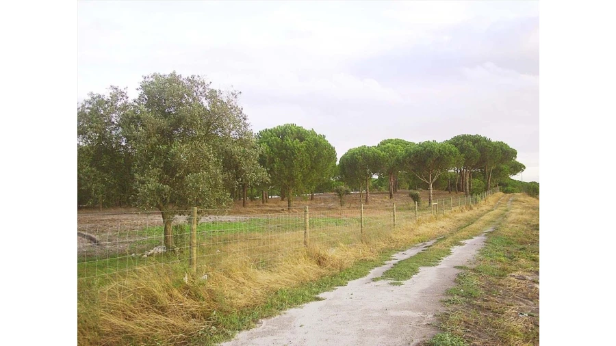Terreno para Venda em Pegões