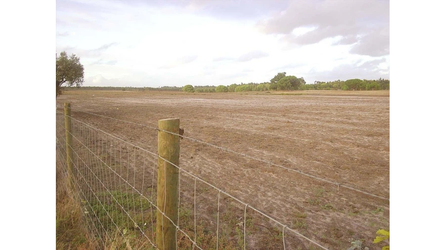 Terreno para Venda em Pegões Foto 4