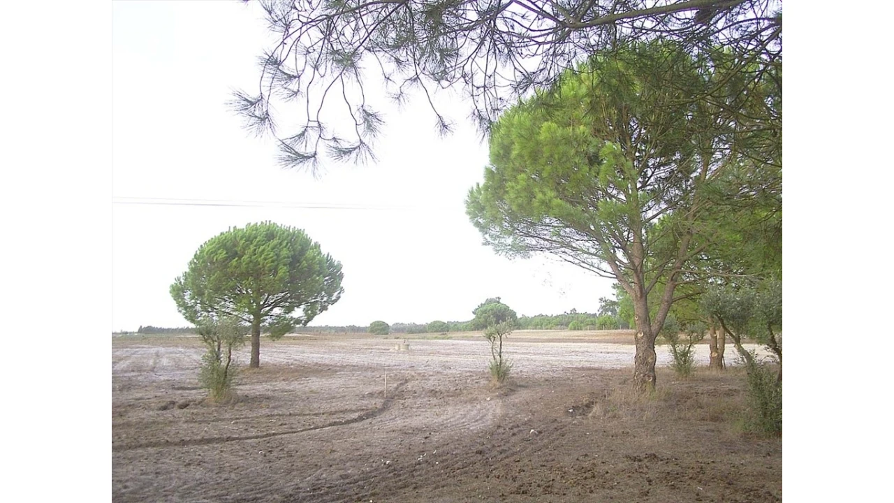 Terreno para Venda em Pegões Foto 6