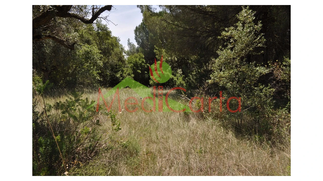 Terreno para Venda em Vila Chã de Ourique Foto 5