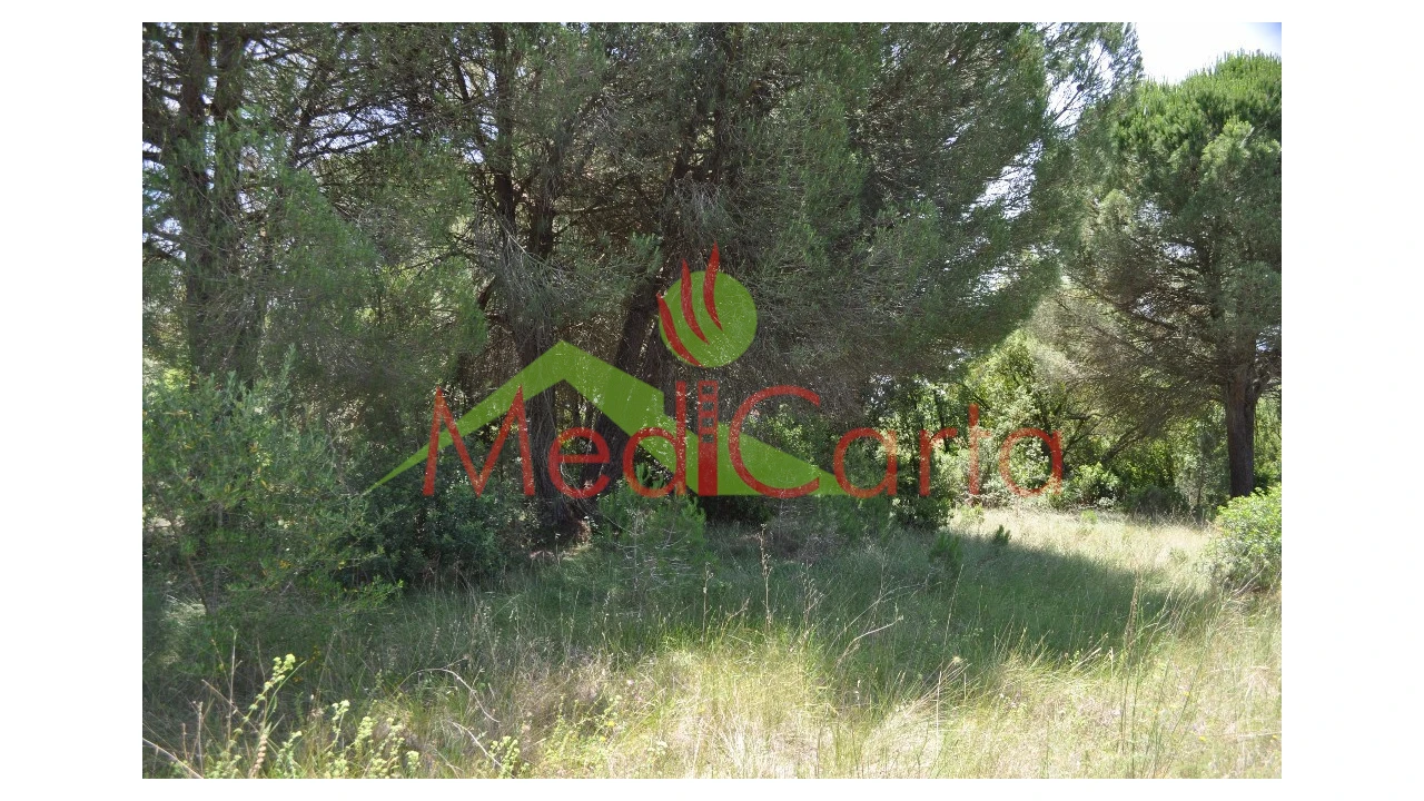 Terreno para Venda em Vila Chã de Ourique Foto 8