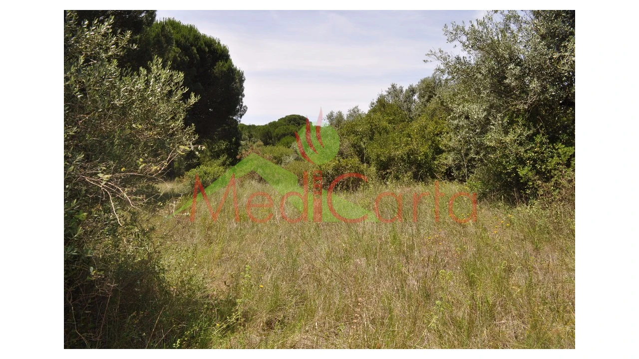 Terreno para Venda em Vila Chã de Ourique Foto 6