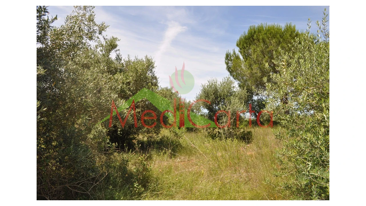 Terreno para Venda em Vila Chã de Ourique Foto 1