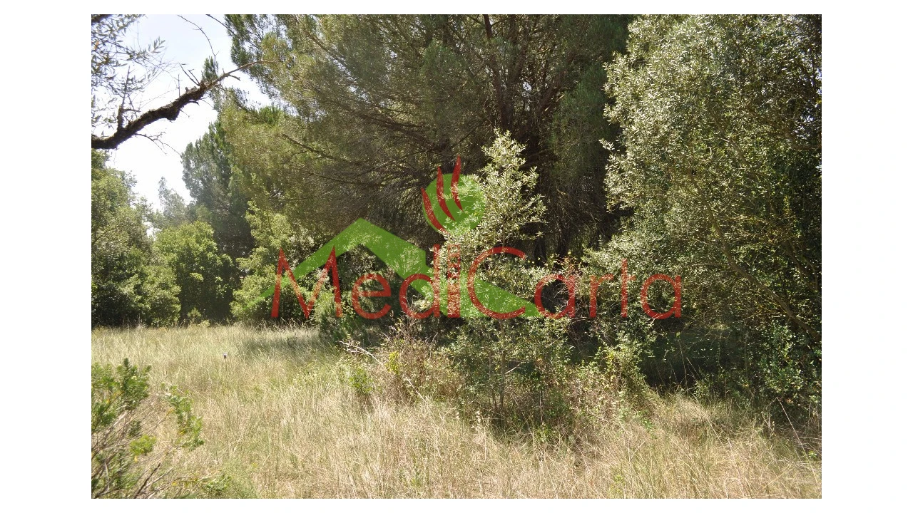 Terreno para Venda em Vila Chã de Ourique Foto 4