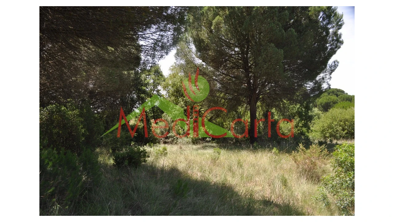 Terreno para Venda em Vila Chã de Ourique Foto 11