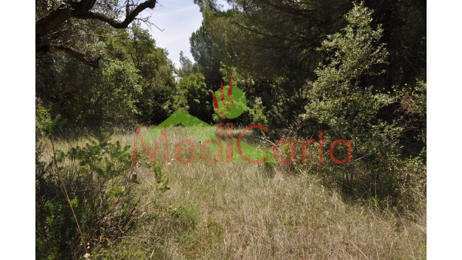 Terreno para Venda em Vila Chã de Ourique Foto 5