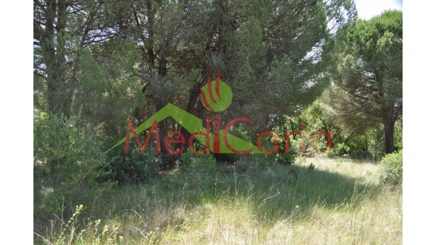 Terreno para Venda em Vila Chã de Ourique Foto 8