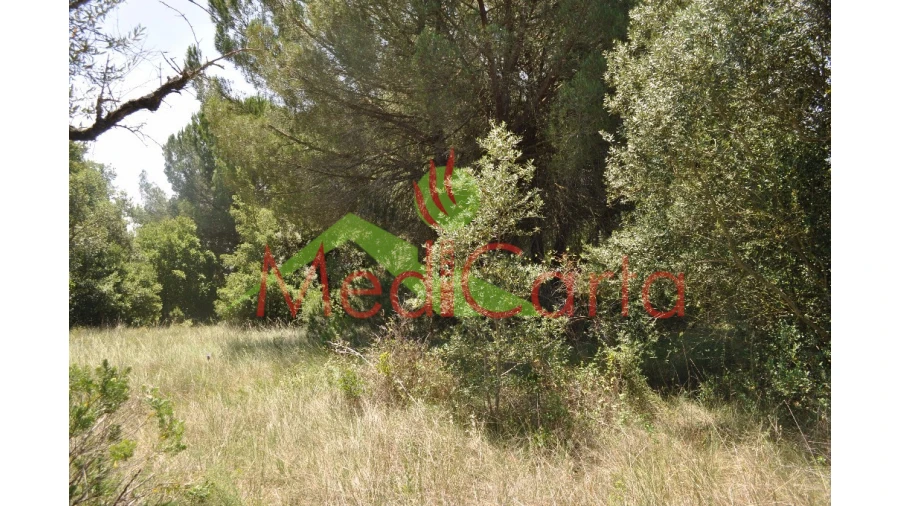 Terreno para Venda em Vila Chã de Ourique Foto 4