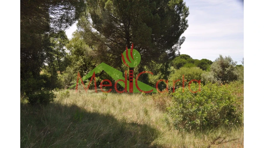 Terreno para Venda em Vila Chã de Ourique Foto 9