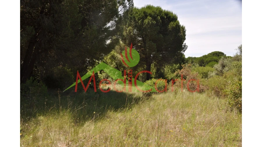 Terreno para Venda em Vila Chã de Ourique Foto 7