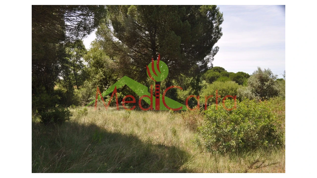 Terreno para Venda em Vila Chã de Ourique Foto 9