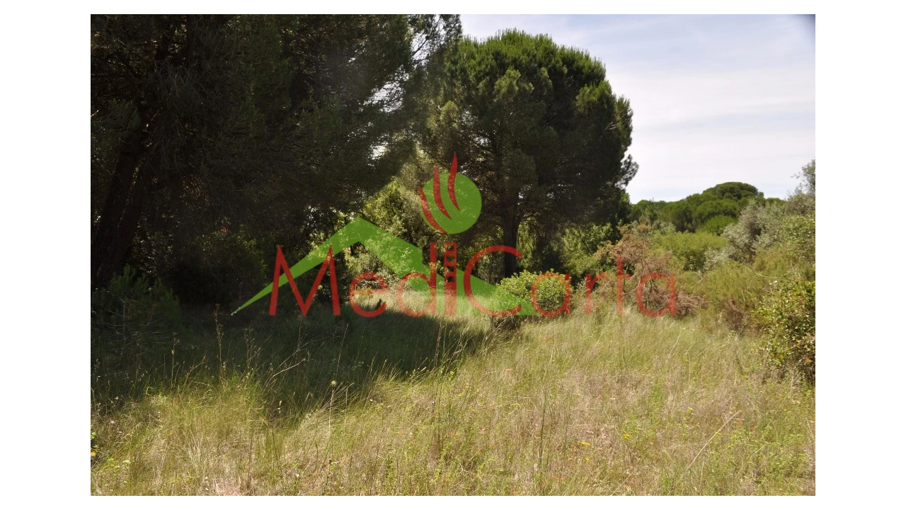 Terreno para Venda em Vila Chã de Ourique Foto 7
