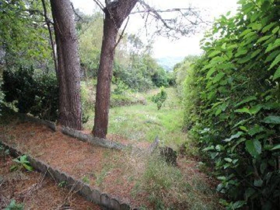 Prédio para Venda em São Vicente Ferreira Foto 14