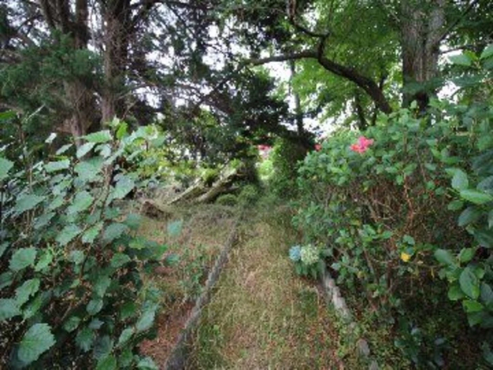 Prédio para Venda em São Vicente Ferreira Foto 16