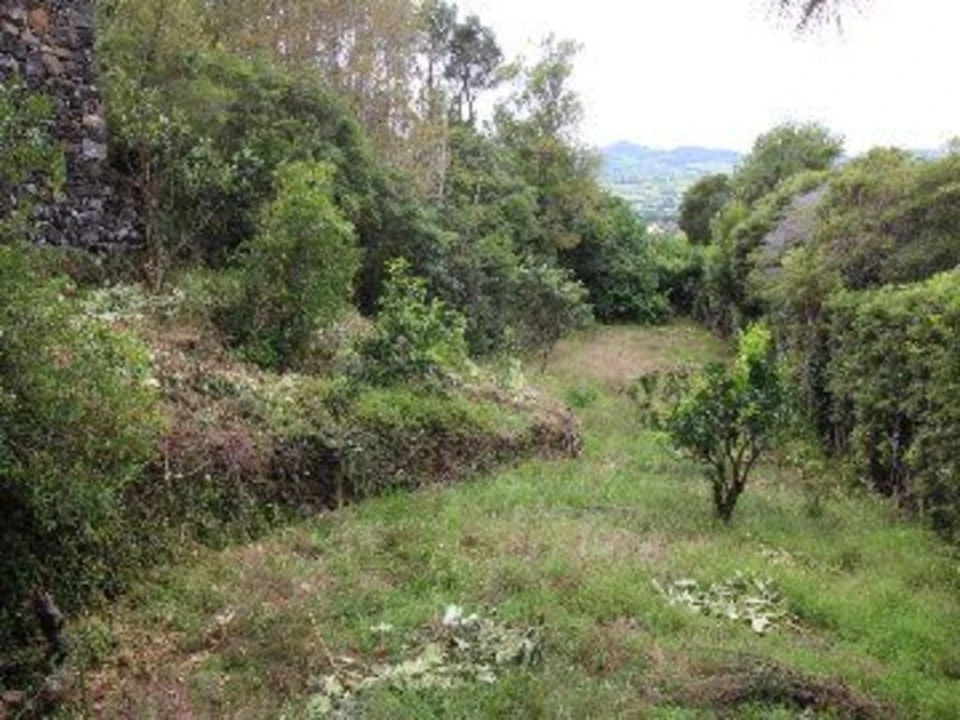 Prédio para Venda em São Vicente Ferreira Foto 15