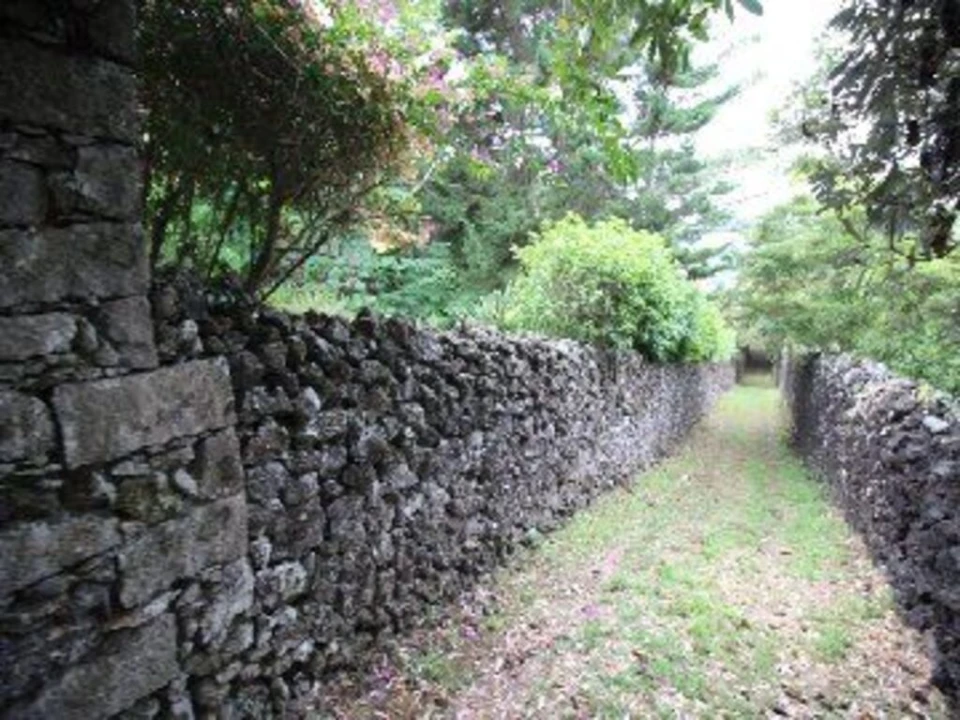 Prédio para Venda em São Vicente Ferreira Foto 7