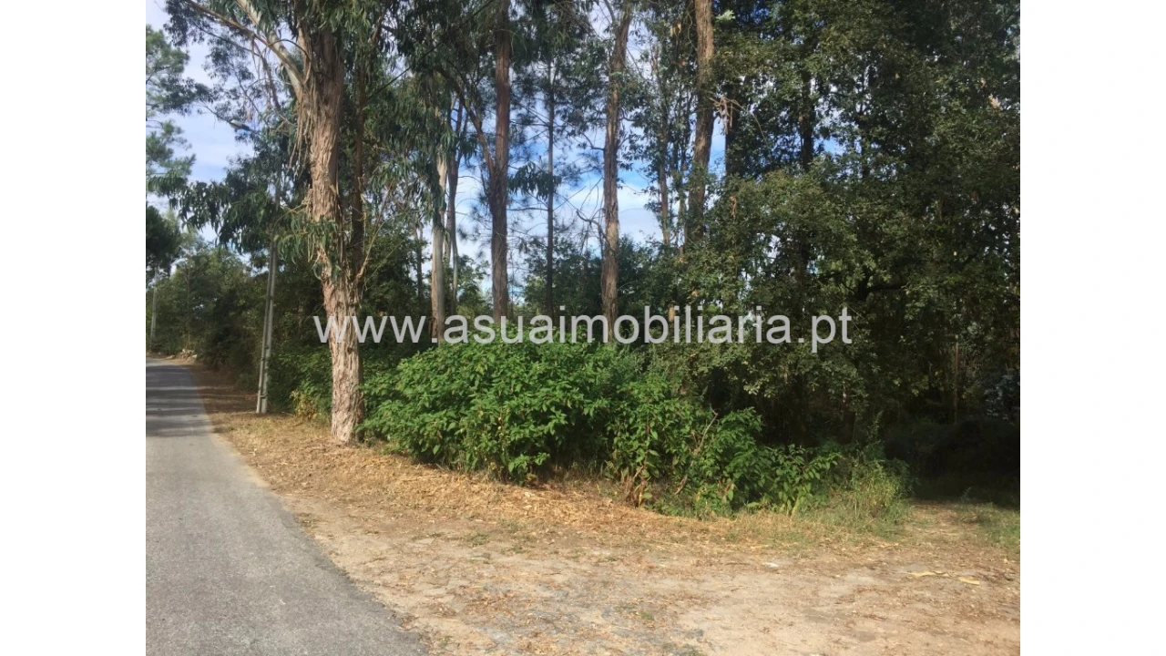 Terreno para Venda em Lago Foto 1