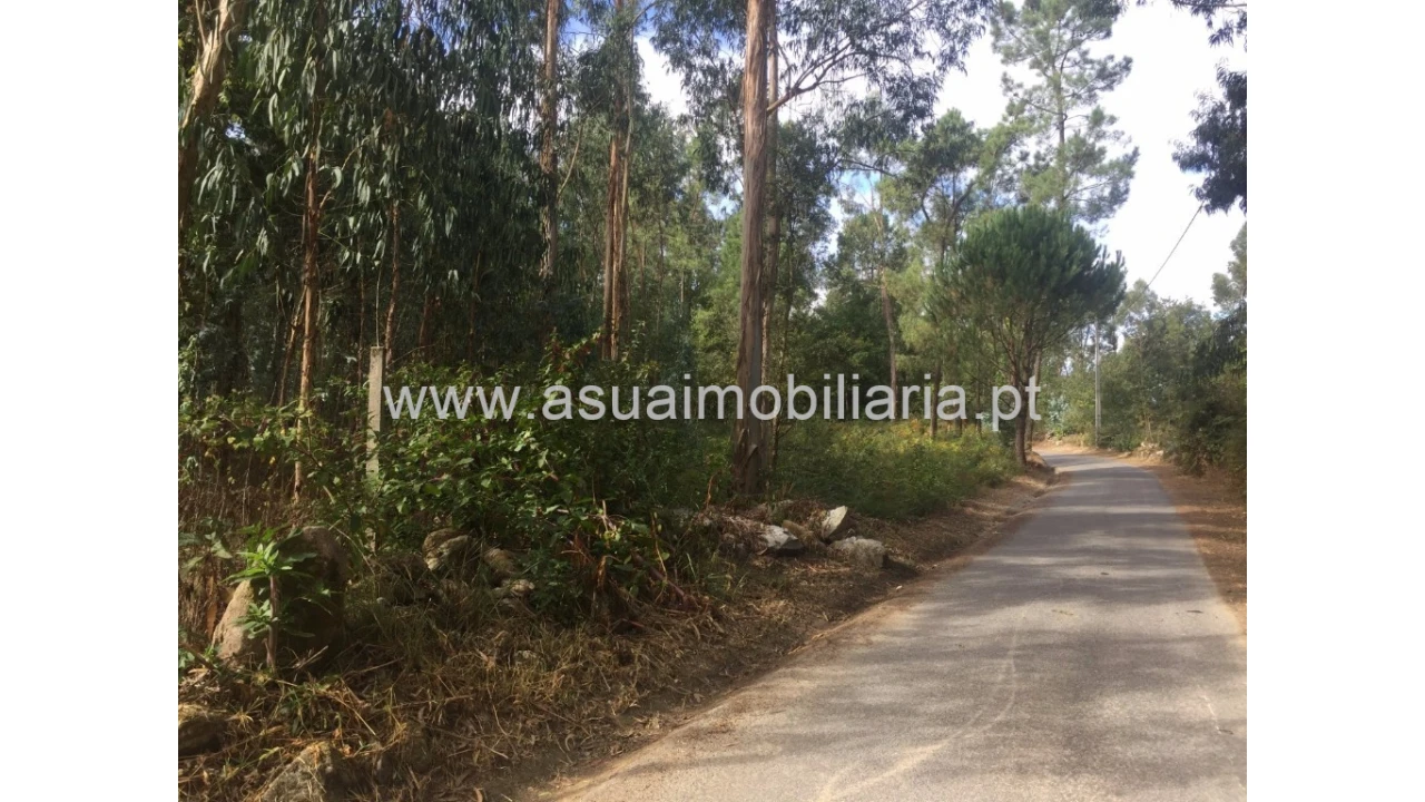 Terreno para Venda em Lago Foto 2