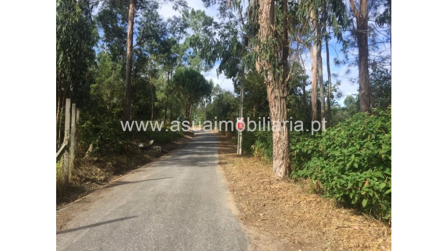 Terreno para Venda em Lago Foto 5