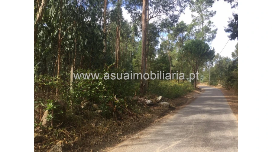 Terreno para Venda em Lago Foto 2