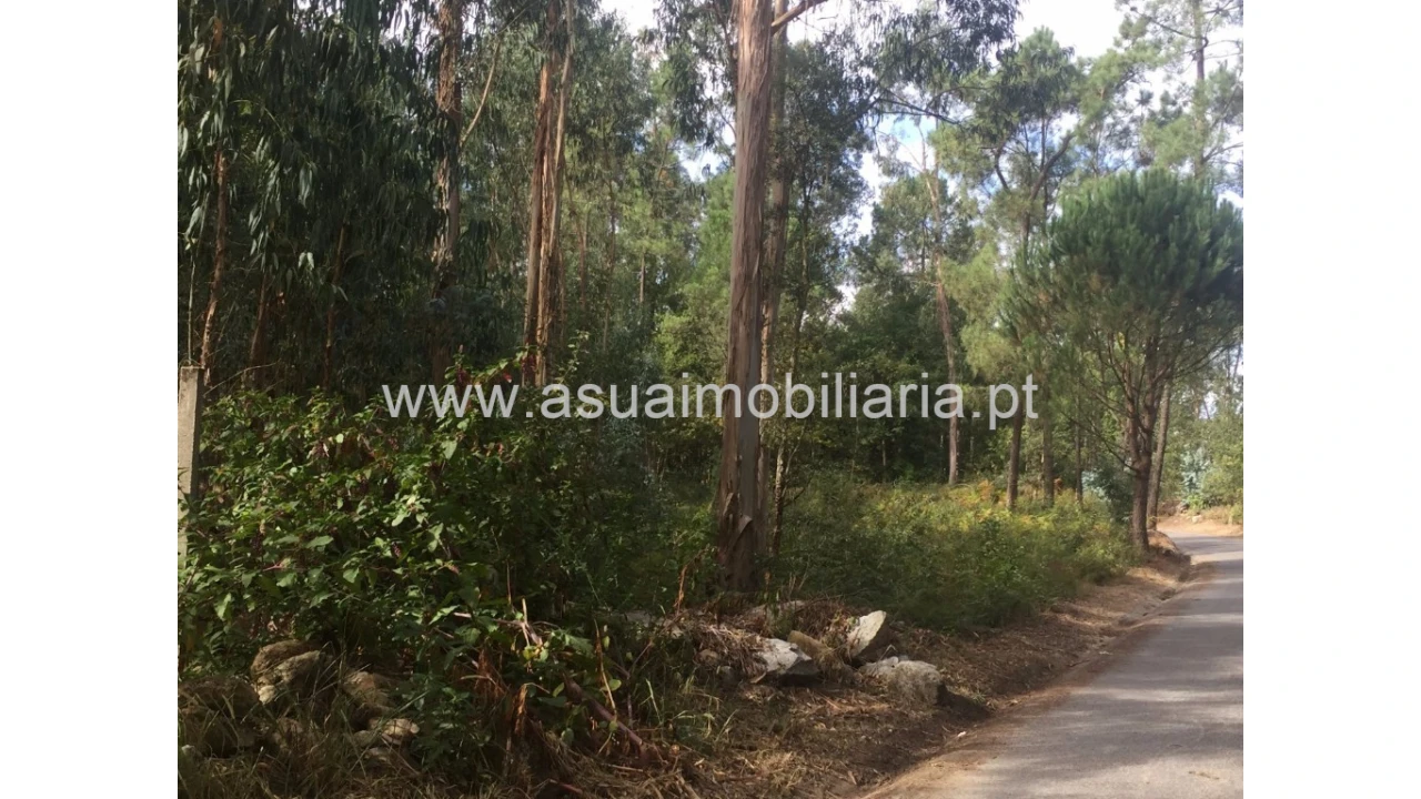 Terreno para Venda em Lago Foto 3