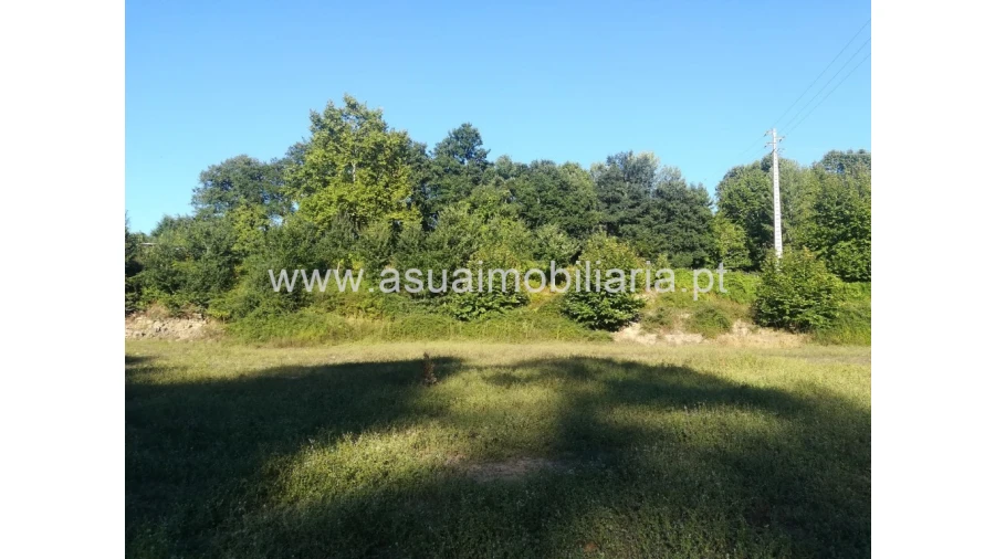 Terreno para Venda em Torre e Portela Foto 1