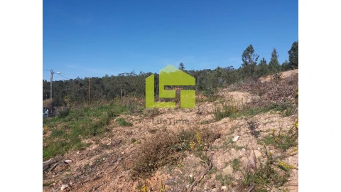 Terreno para Venda em Assafarge e Antanhol