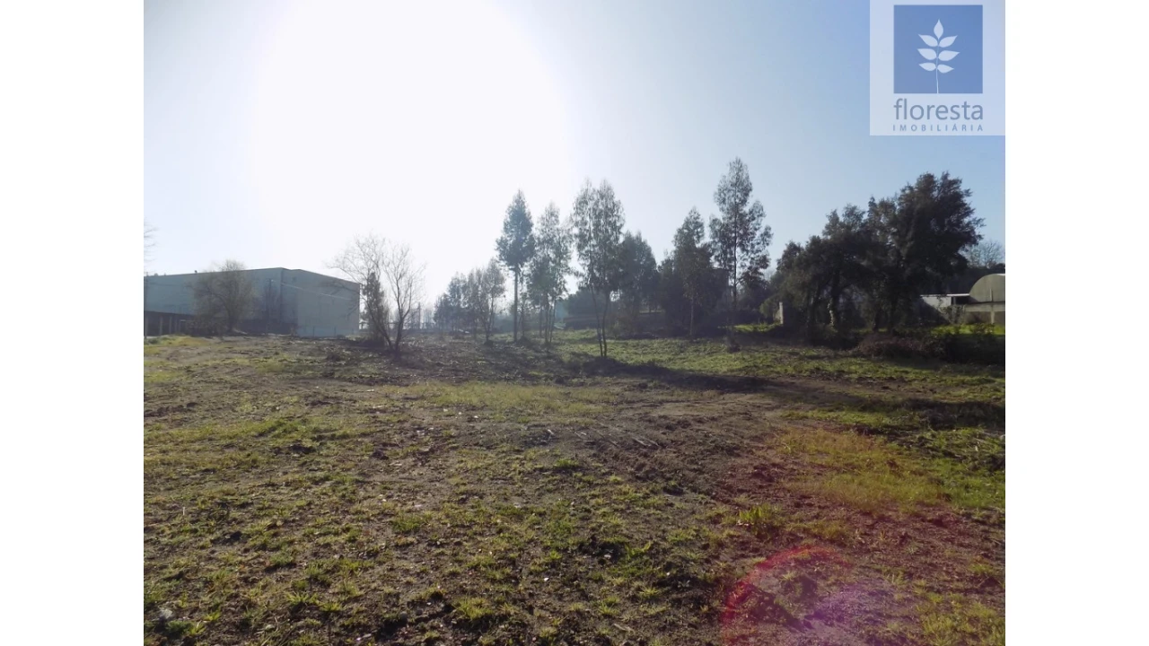 Terreno para Venda em Avidos e Lagoa Foto 8
