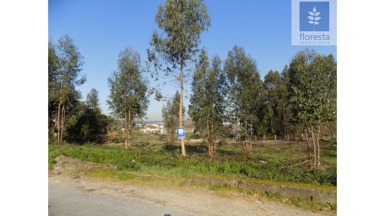 Terreno para Venda em Avidos e Lagoa Foto 10