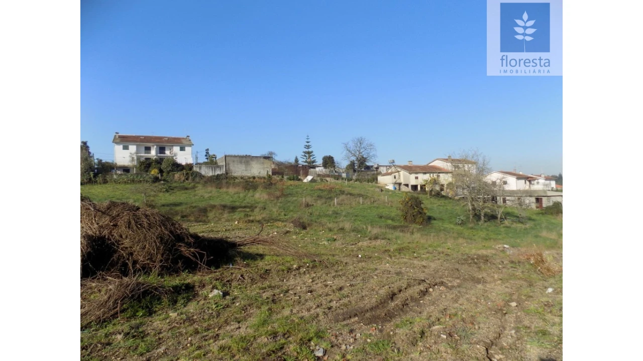 Terreno para Venda em Avidos e Lagoa Foto 6