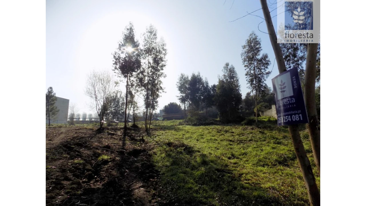 Terreno para Venda em Avidos e Lagoa Foto 16