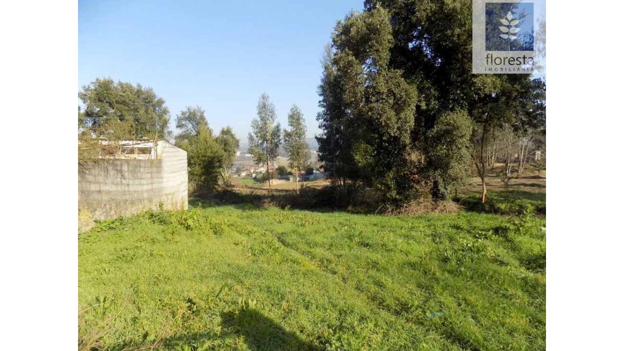 Terreno para Venda em Avidos e Lagoa Foto 14