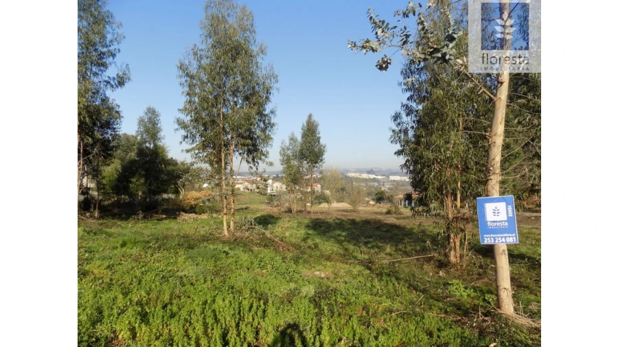 Terreno para Venda em Avidos e Lagoa Foto 18