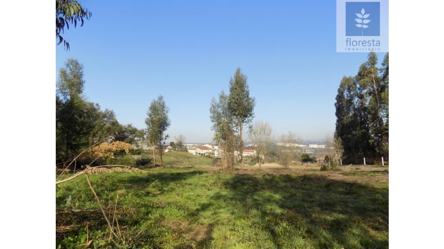 Terreno para Venda em Avidos e Lagoa Foto 17