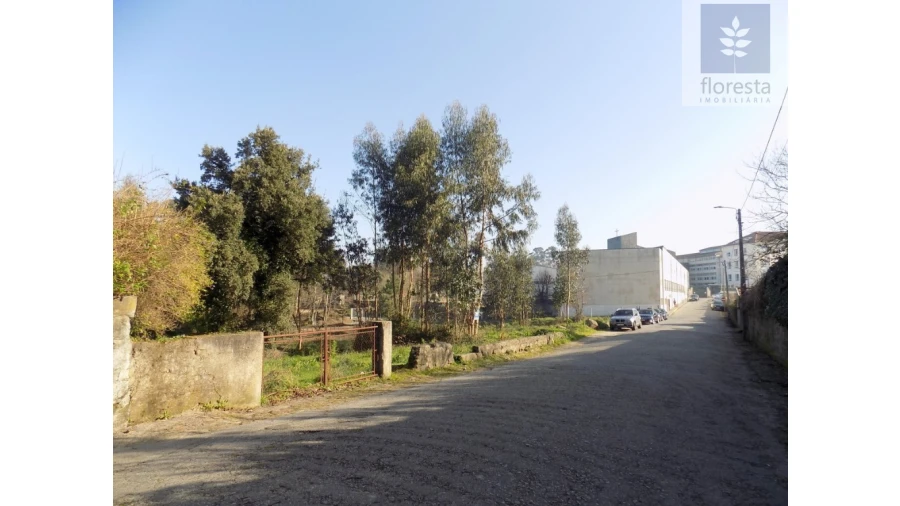 Terreno para Venda em Avidos e Lagoa Foto 13