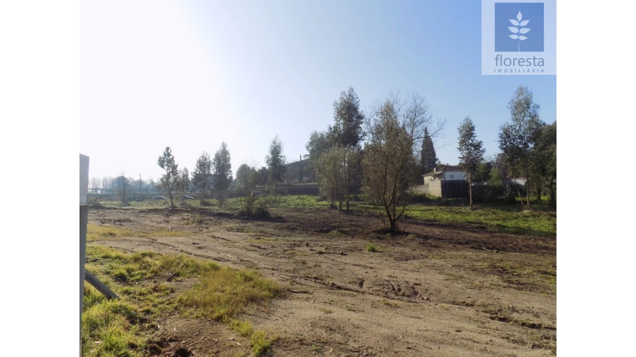 Terreno para Venda em Avidos e Lagoa Foto 4